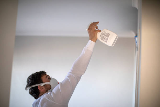 Best Certified Mold Removal  in San Ramon, CA