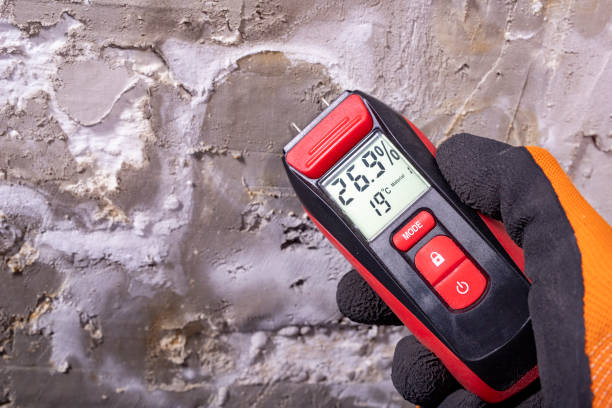 Best Water Damage Restoration  in San Ramon, CA