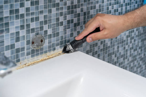 Best Mold Testing  in San Ramon, CA