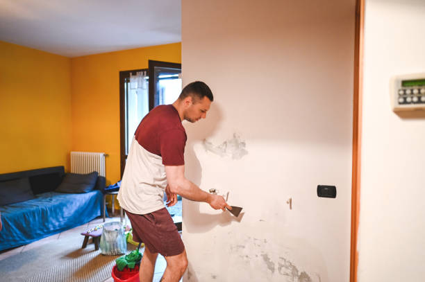 Best Toxic Mold Removal  in San Ramon, CA
