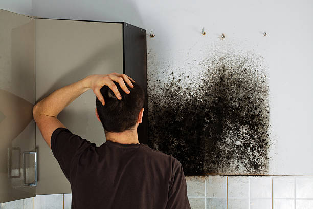 Best Mold Testing  in San Ramon, CA